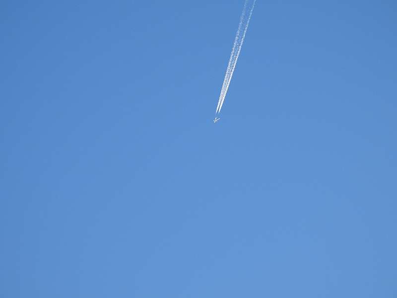 飛行機が飛んでる