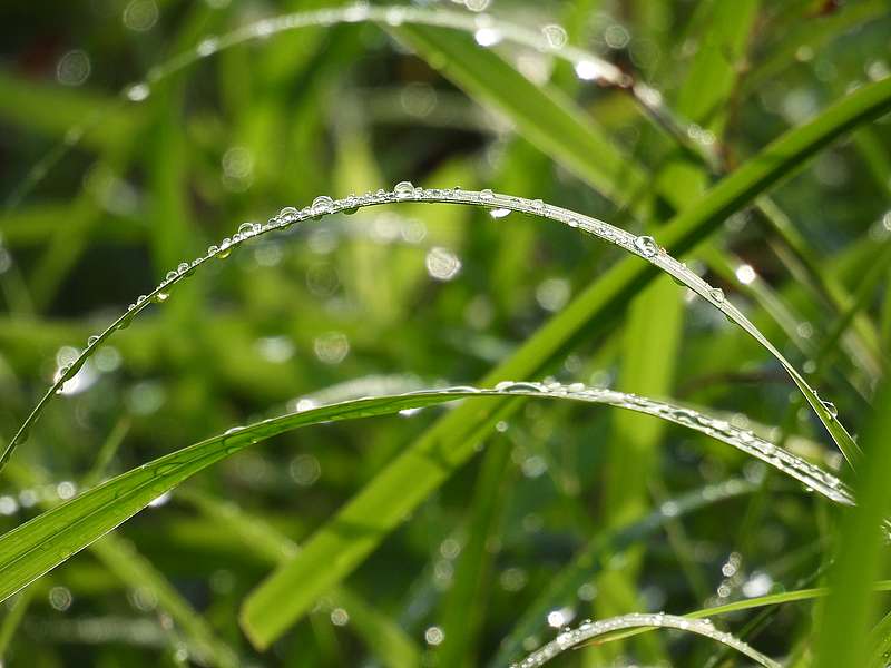 雨上がり