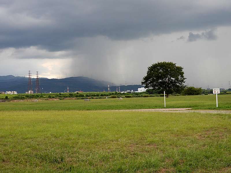 雨柱