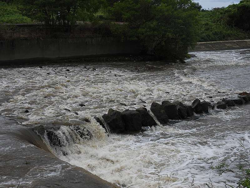 淀川河川公園