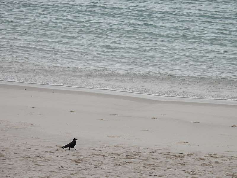 白浜のカラヤン