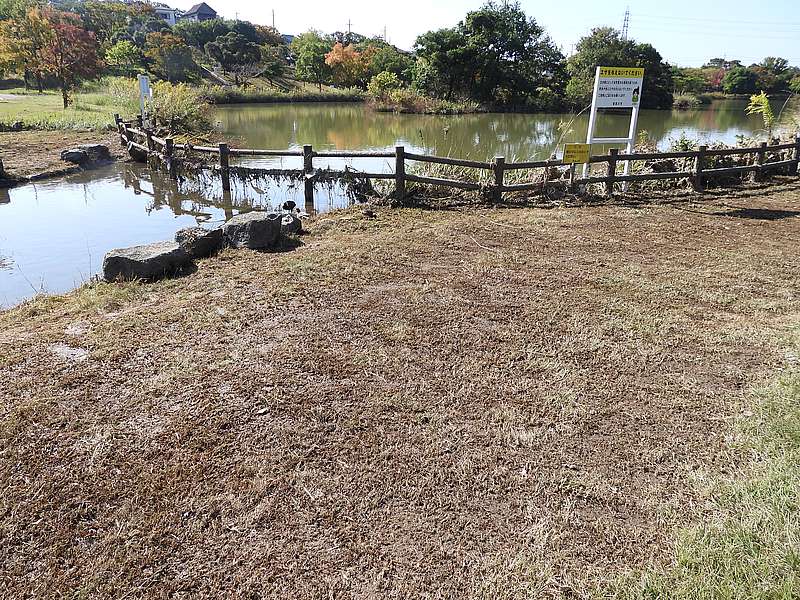 打上川治水緑地