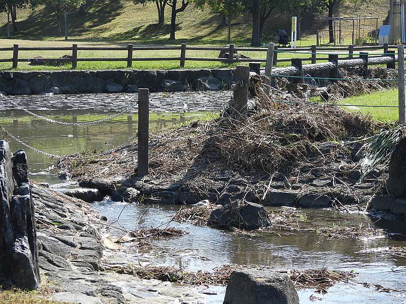 打上川治水緑地