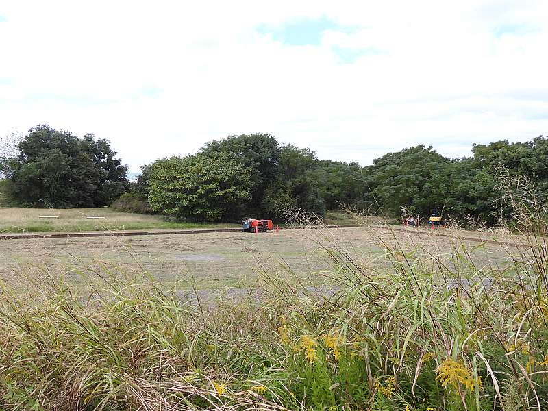 淀川河川公園