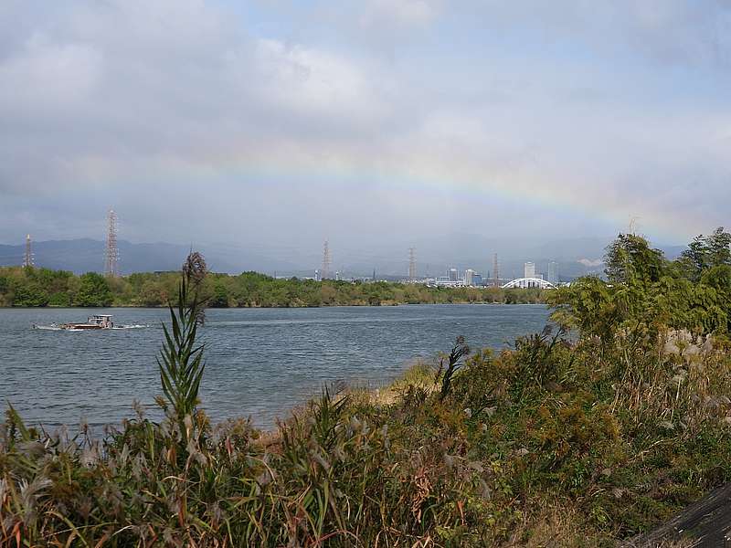 淀川河川公園