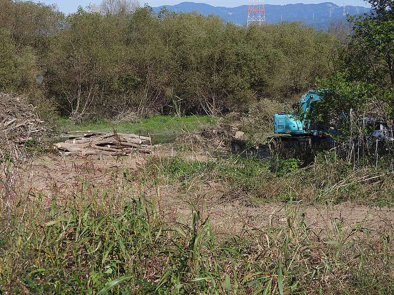 淀川河川公園