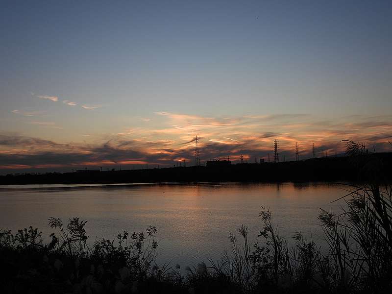 淀川河川公園