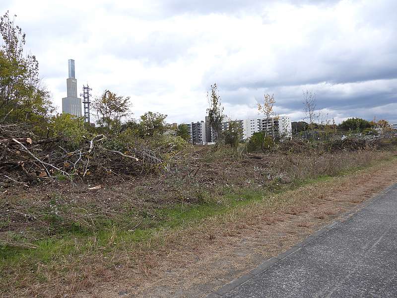 淀川河川公園