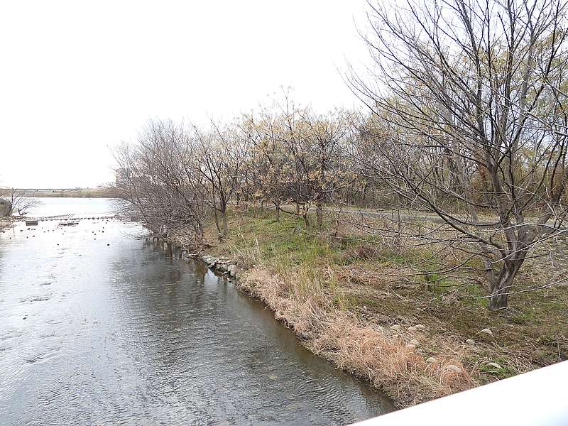 淀川河川公園