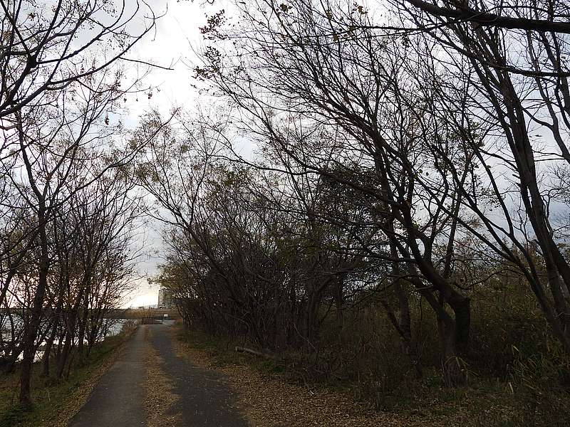 淀川河川公園