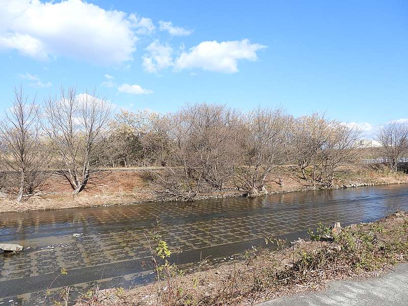 淀川河川公園