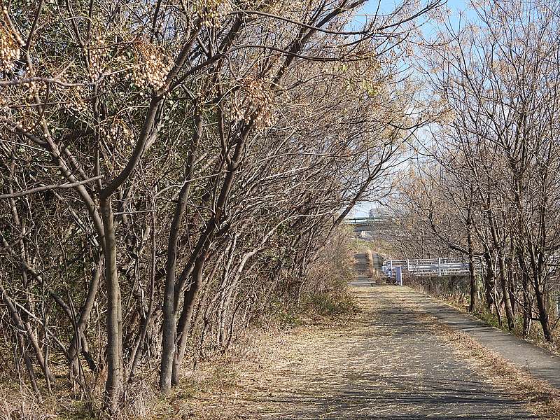 淀川河川公園