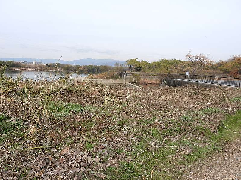 淀川河川公園