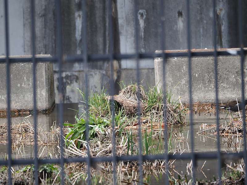 地獄の門