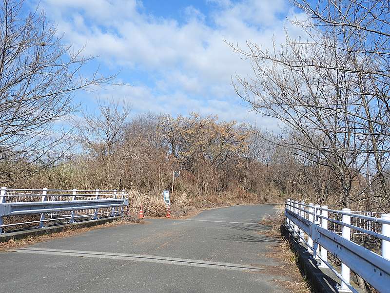 淀川河川公園