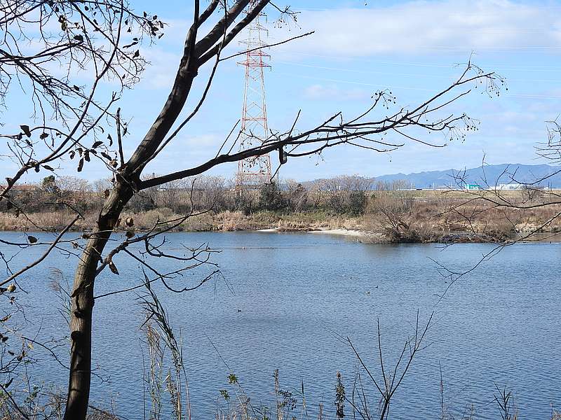 淀川河川公園