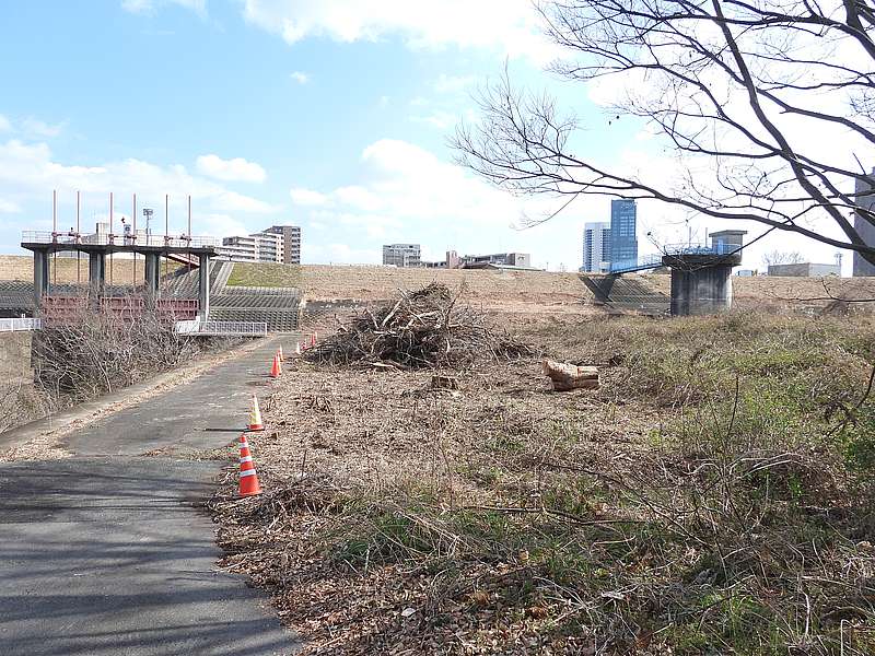 淀川河川公園