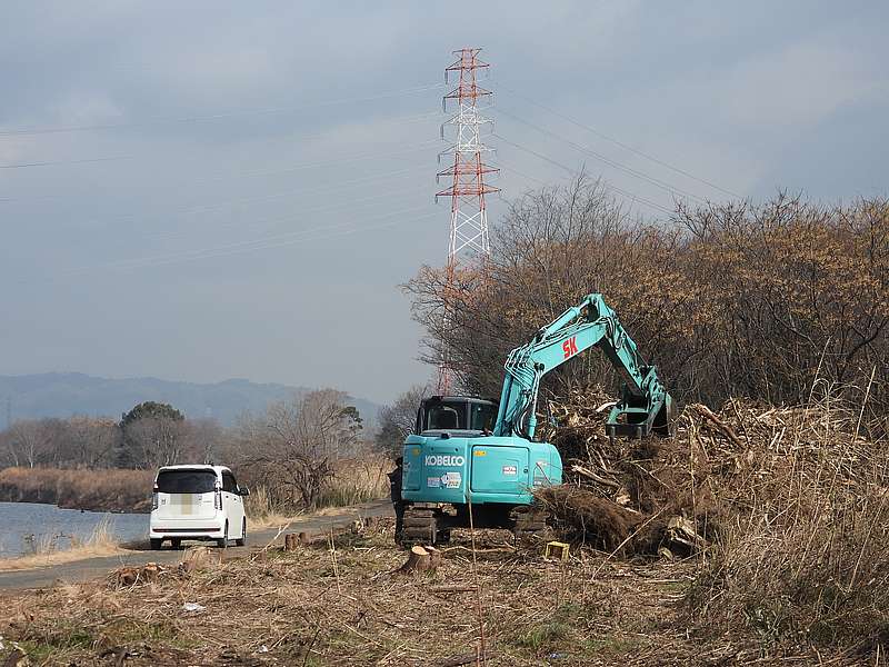 淀川河川公園