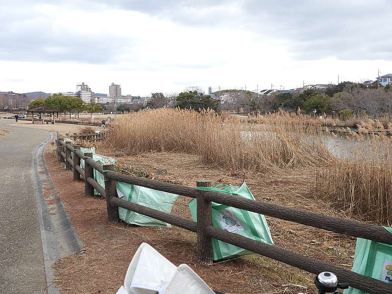 打上川治水緑地