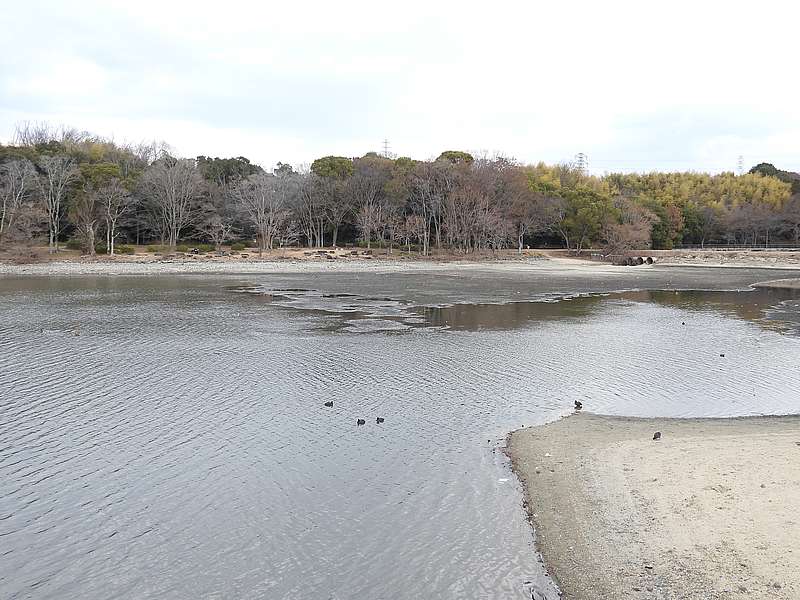 山田池公園