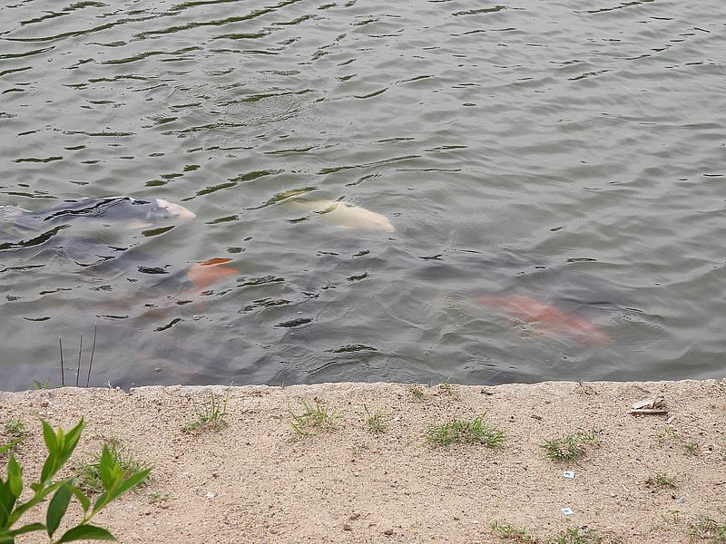 以楽公園