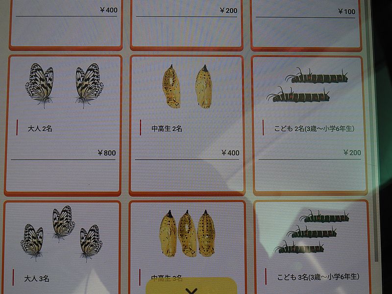 料金表