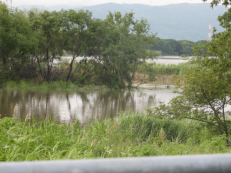 淀川河川公園