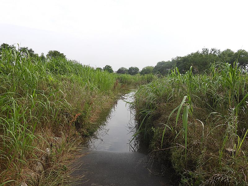 淀川河川公園