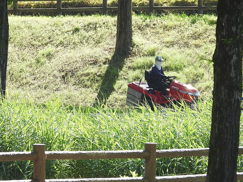 草刈り機が来てしまった