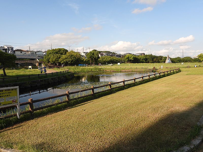 打上川治水緑地
