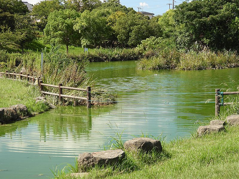 打上川治水緑地