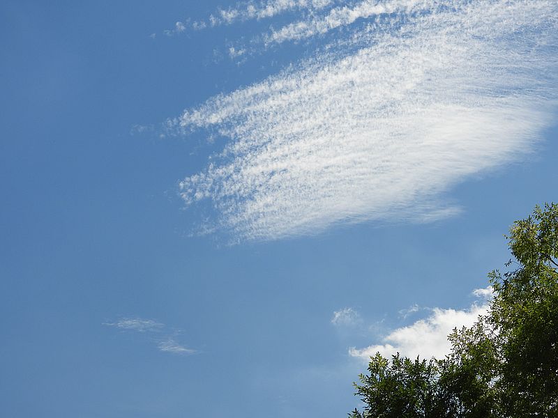 秋の空になりつつある