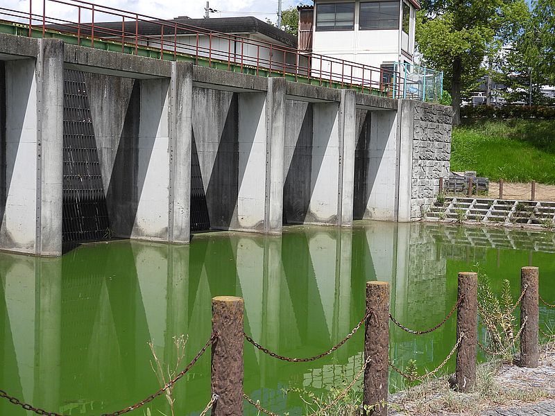 打上川治水緑地