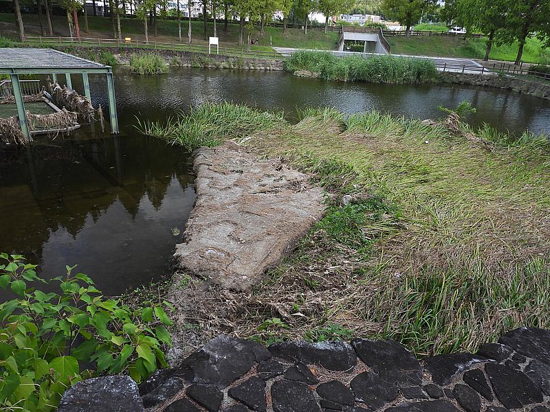 打上川治水緑地