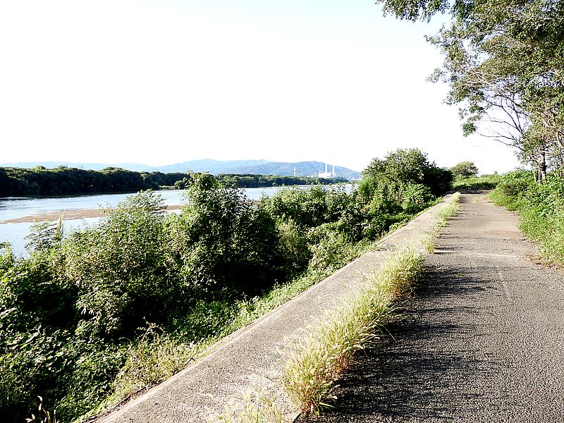 淀川河川公園