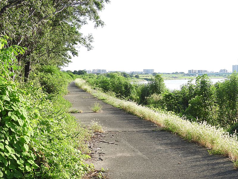 淀川河川公園