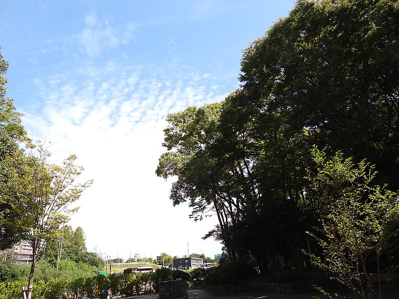 山田池公園