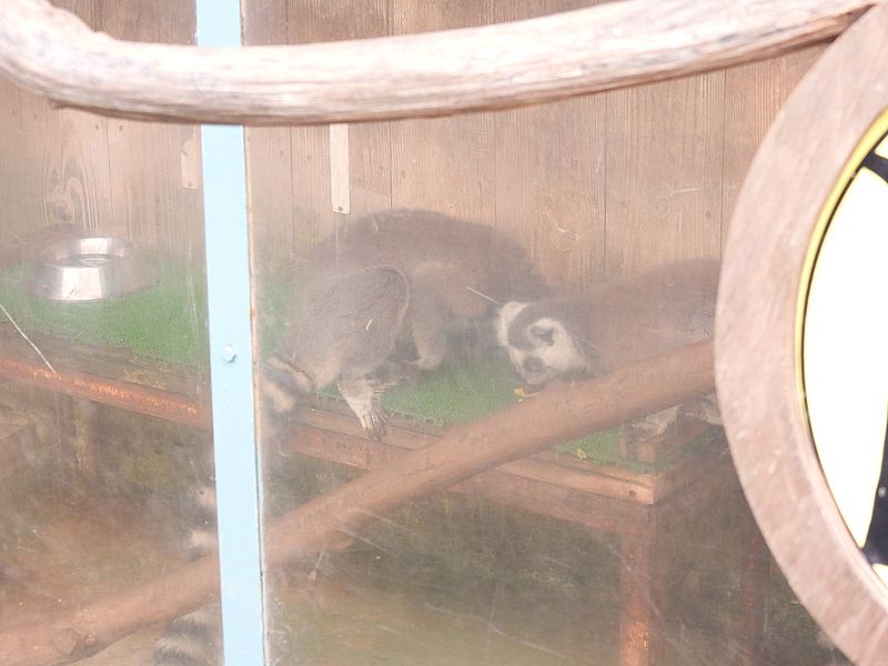 中でご飯食べたい