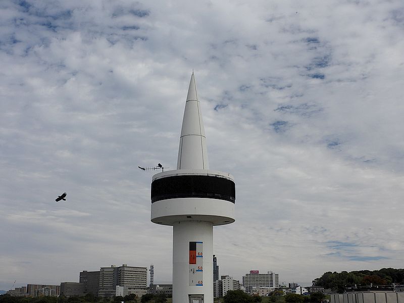 カラヤンとチョウゲンボウちゃん