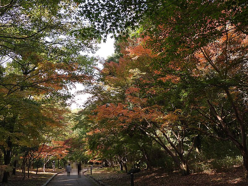 山田池公園