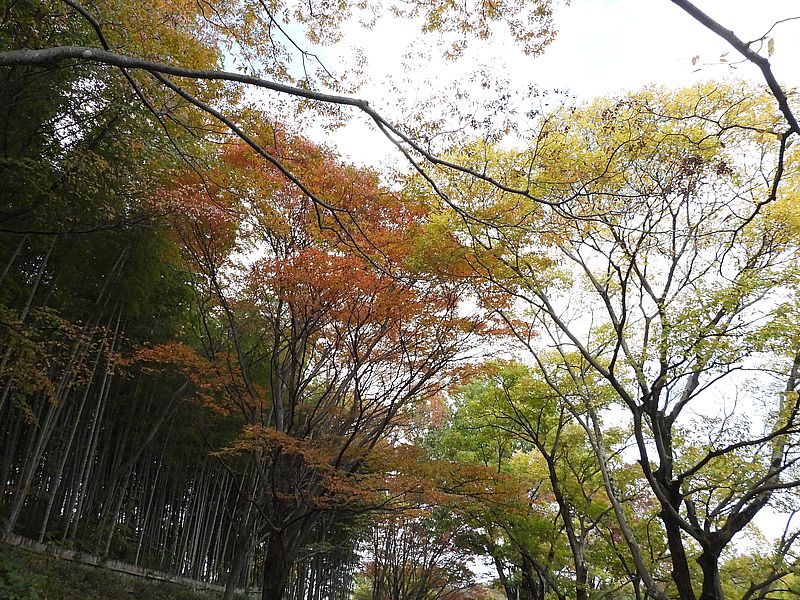 山田池公園