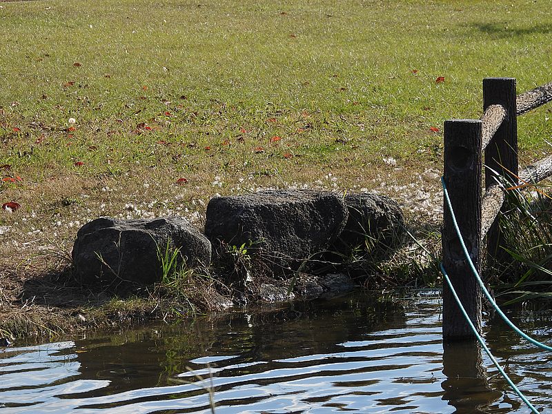 ぴゆちゃんの痕