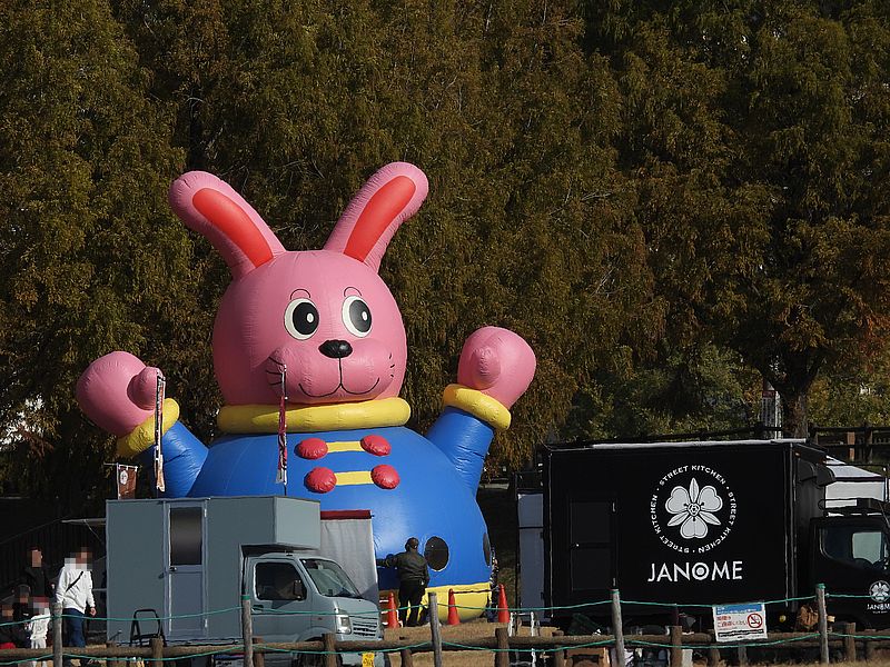 打上川治水緑地
