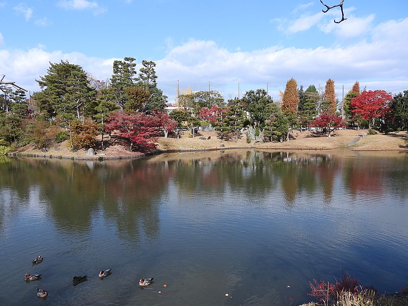 以楽公園にはぴゆちゃんが33羽