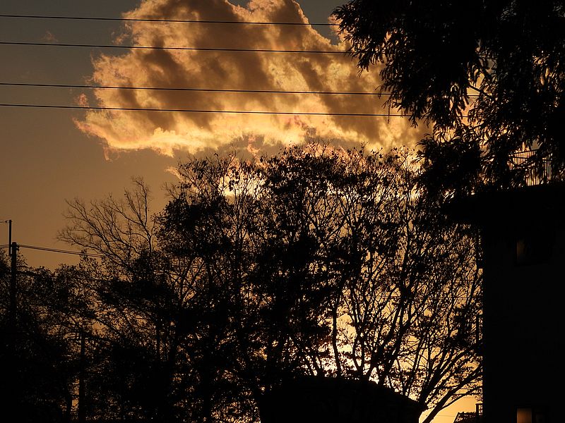 打上川治水緑地