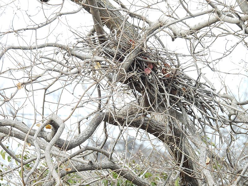 ここは崩れちゃってる