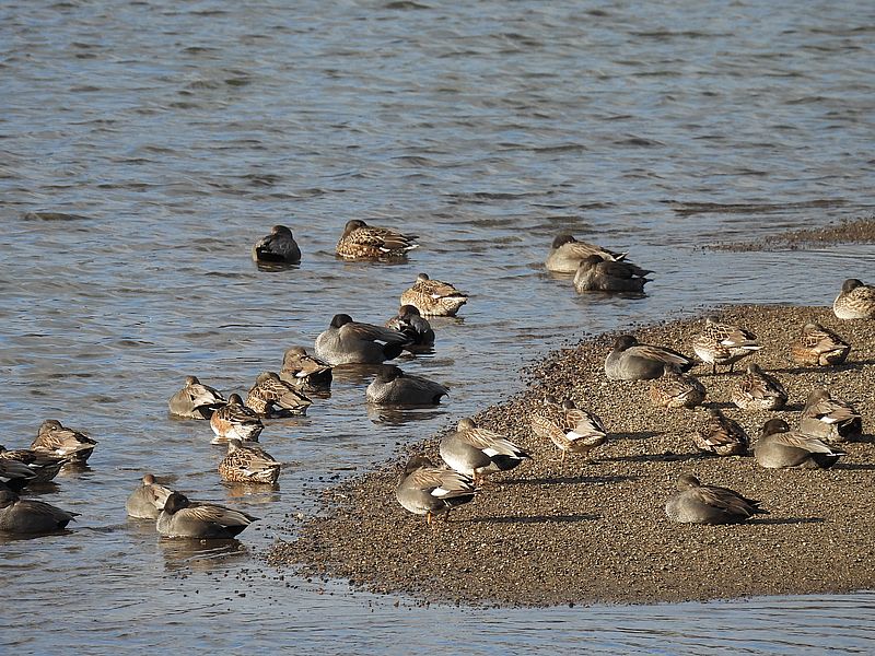 オカヨシさんの合コン会場