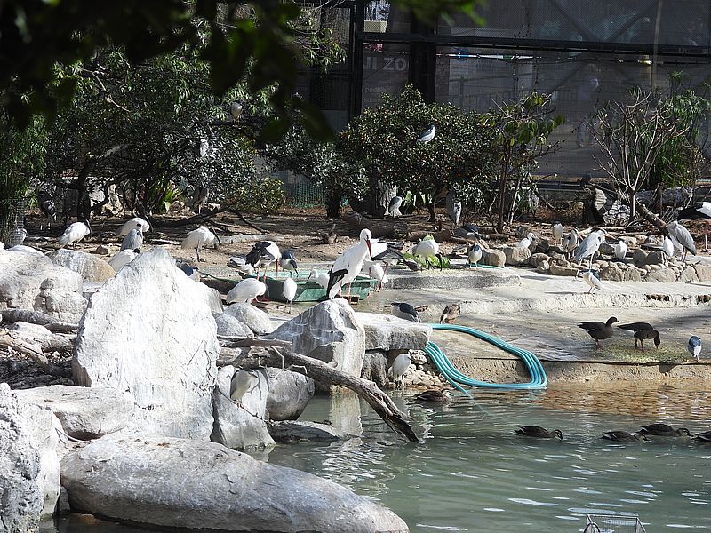 みんな幸せそう