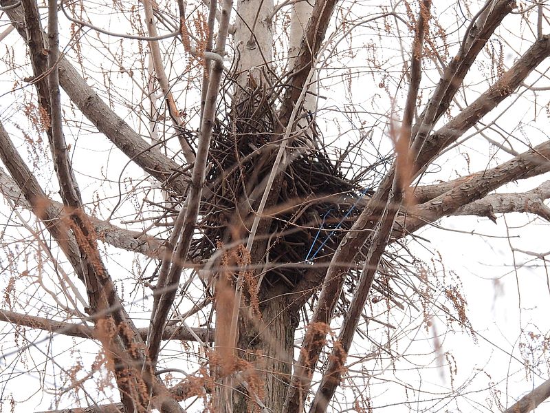 カラヤンの古巣