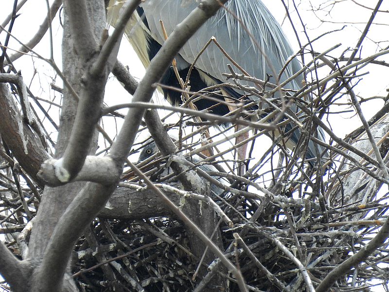 ｷﾀ━━━━━━(ﾟ∀ﾟ)━━━━━━!!!!